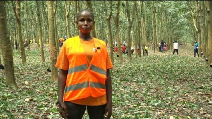 Les meilleurs saigneurs d’hévéa primés pour la 3e année consécutive